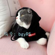 ʾ԰
