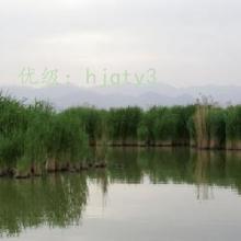 ѧ