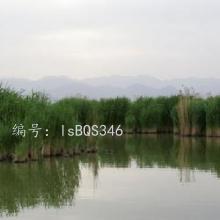 ҵ